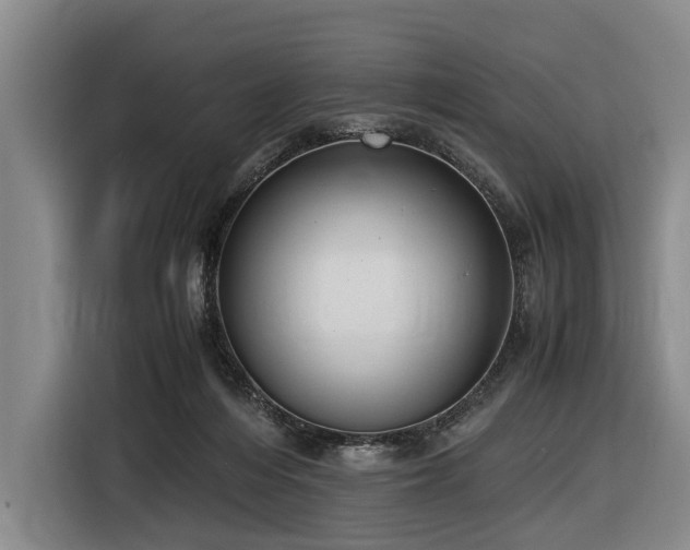X0000116600216200912111120