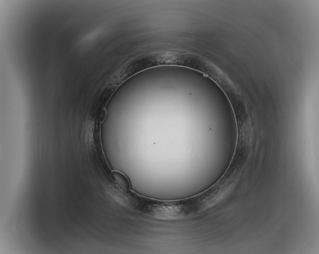 X0000116600217200912111120