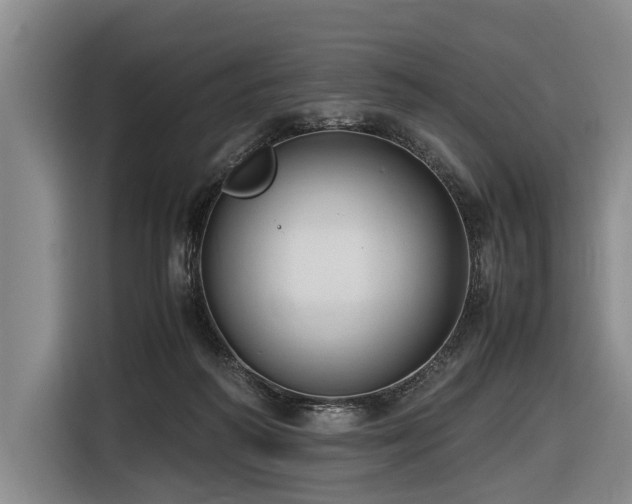 X0000116600218200912111120