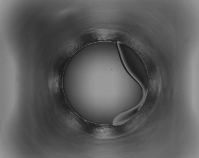 X0000116600219200912111120