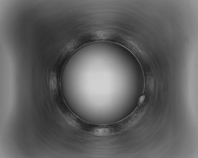 X0000116600220200912111120