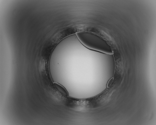 X0000116600225200912111120