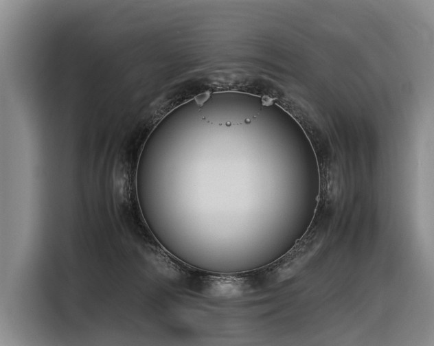 X0000116600226200912111120