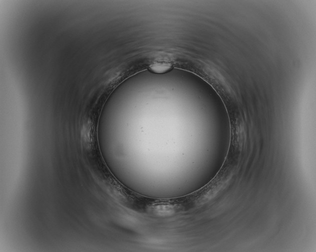 X0000116600228200912111120
