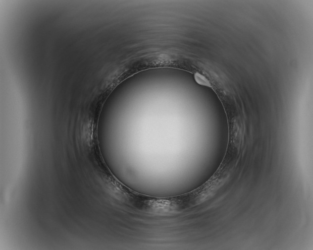 X0000116600230200912111120