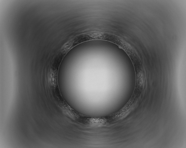 X0000116600234200912111120