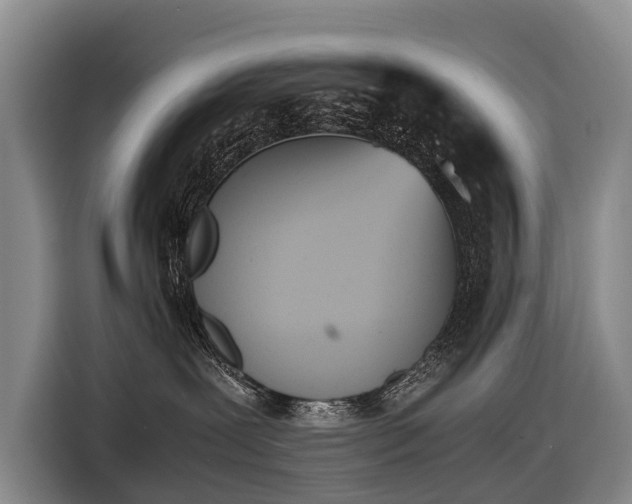 X0000116600239200912111120