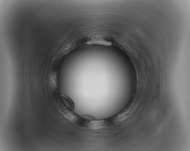 X0000116600240200912111120