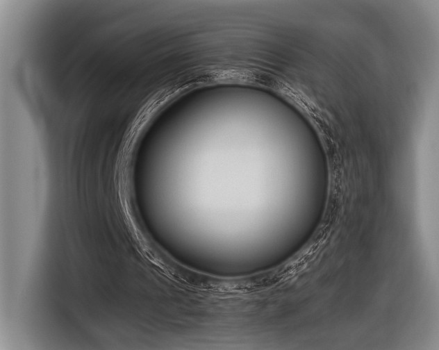 X0000116600241200912111119