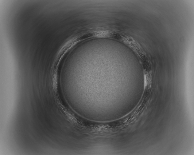X0000116600243200912111119