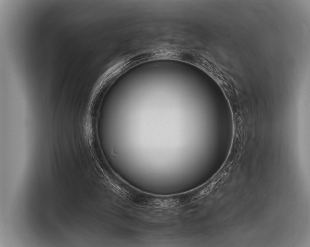X0000116600245200912111119