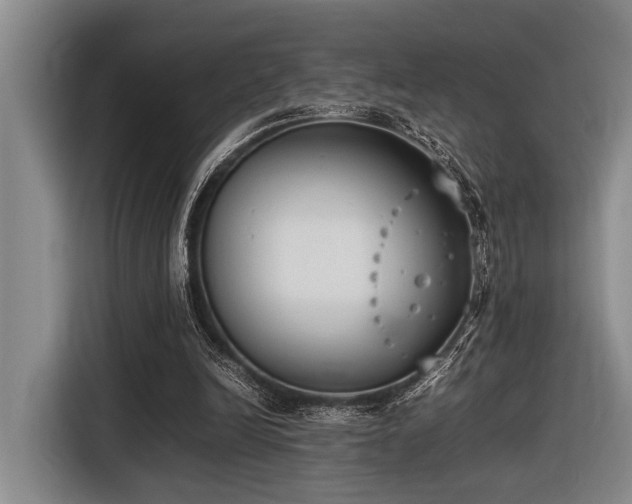 X0000116600246200912111119