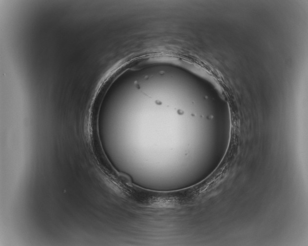 X0000116600248200912111119