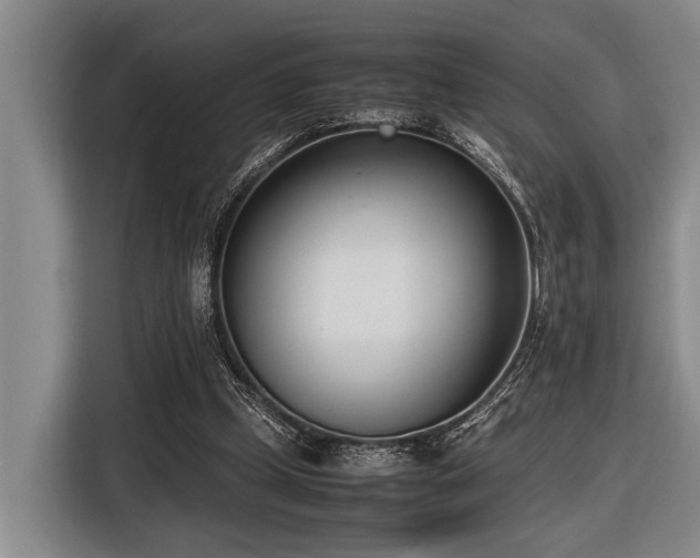 X0000116600249200912111119