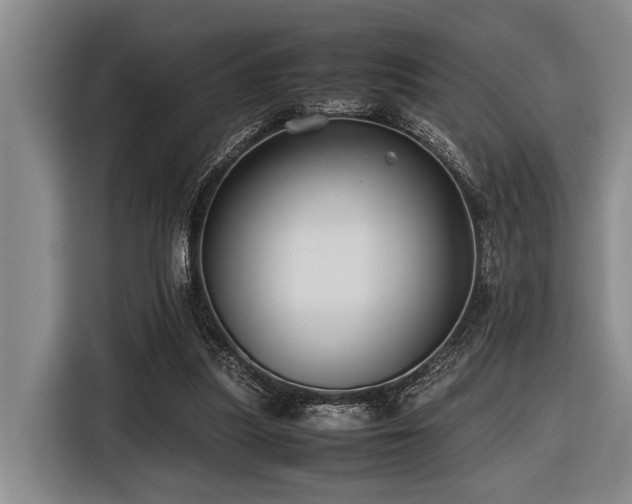 X0000116600251200912111119