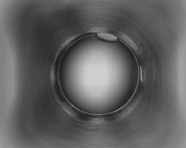 X0000116600252200912111119
