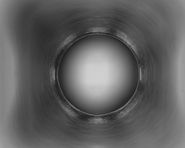 X0000116600253200912111119