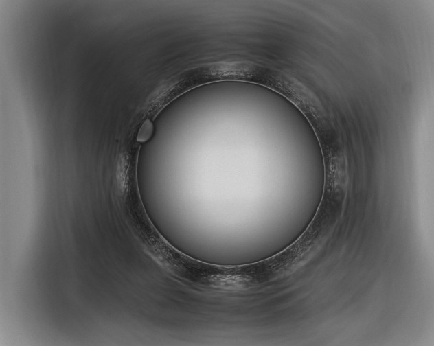 X0000116600255200912111120