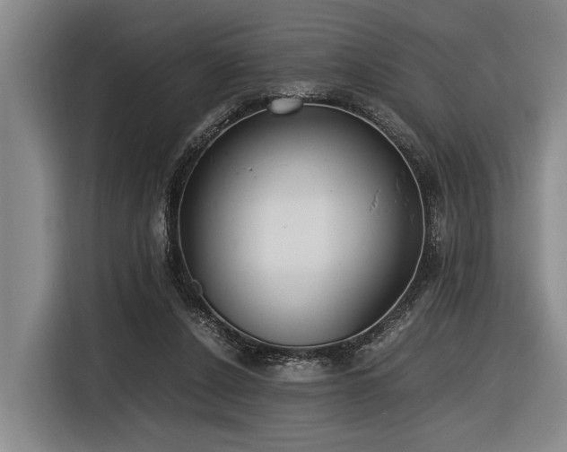 X0000116600256200912111120