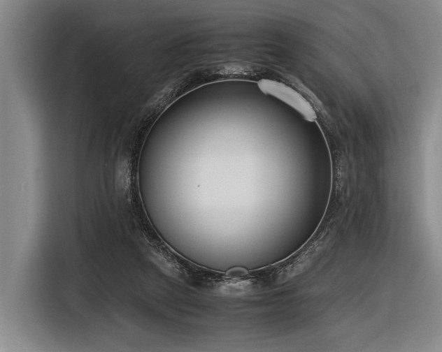 X0000116600257200912111120