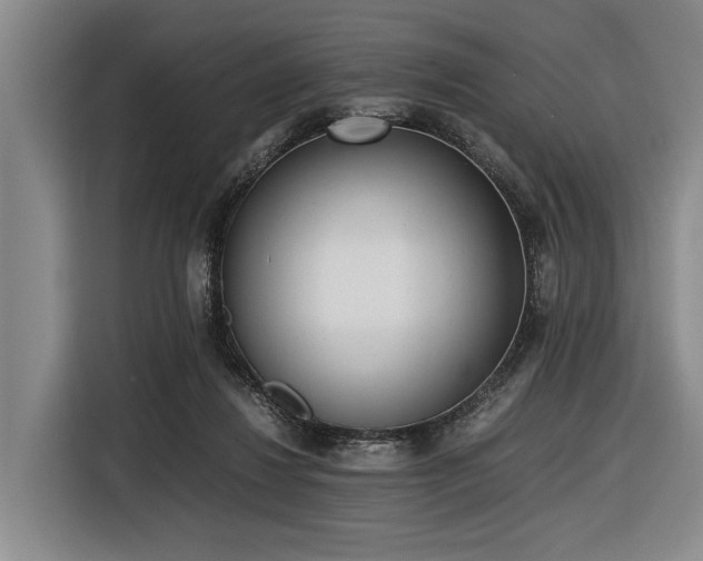 X0000116600260200912111120