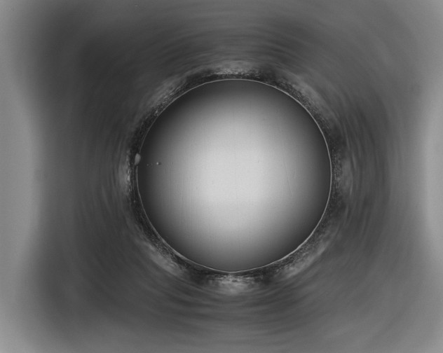 X0000116600261200912111120