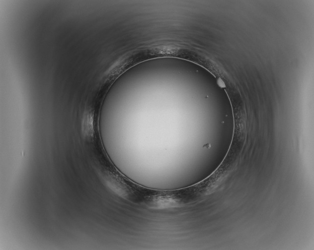 X0000116600262200912111120