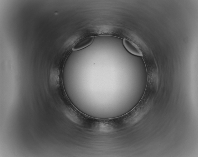 X0000116600264200912111120