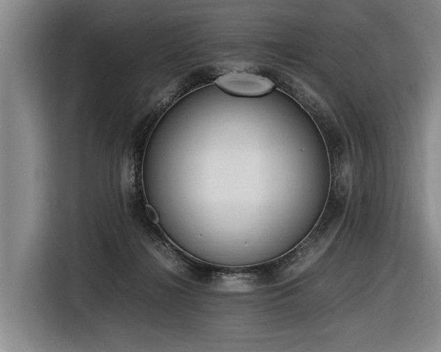 X0000116600268200912111120