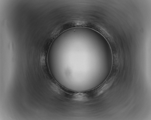 X0000116600269200912111120