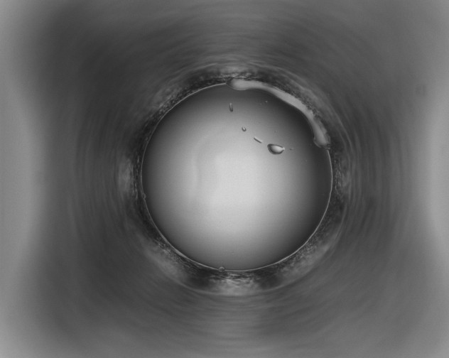 X0000116600270200912111120