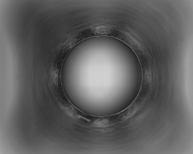 X0000116600271200912111120