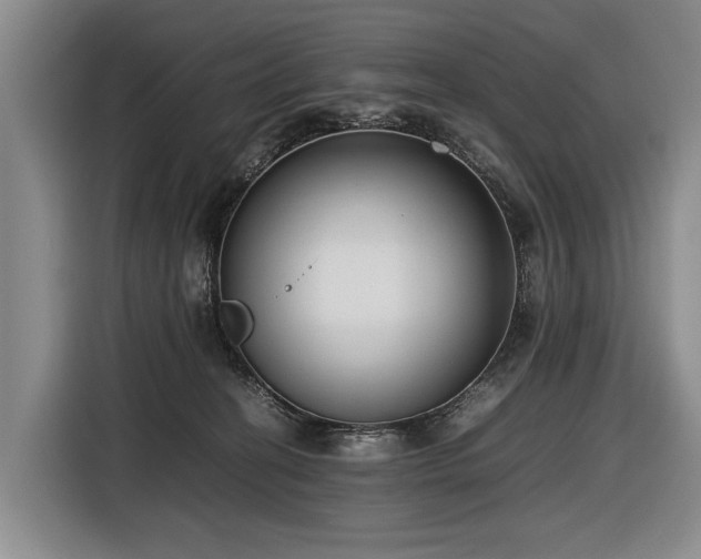 X0000116600274200912111120