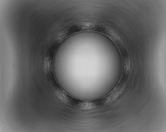 X0000116600276200912111120