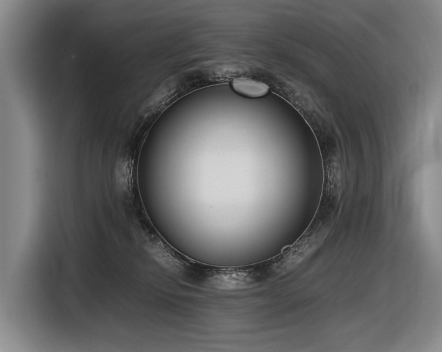 X0000116600278200912111120