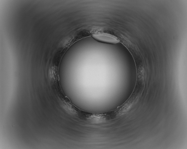 X0000116600280200912111120