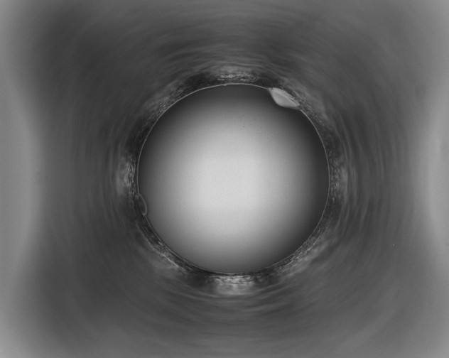 X0000116600281200912111120
