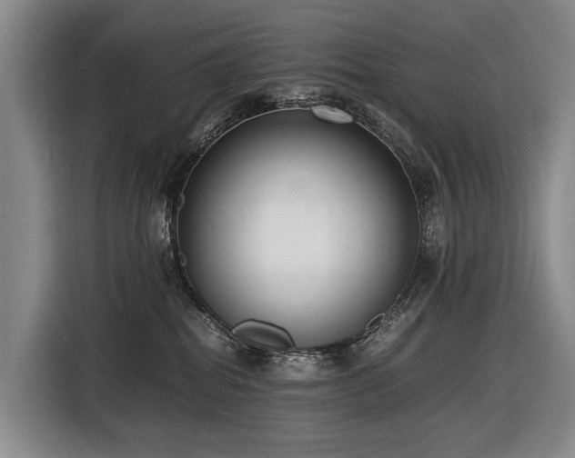 X0000116600282200912111120