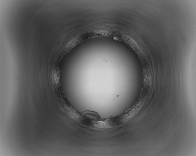 X0000116600285200912111120