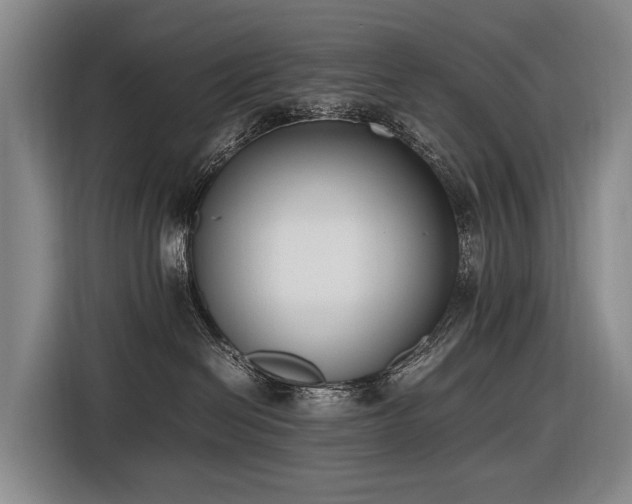 X0000116600286200912111120
