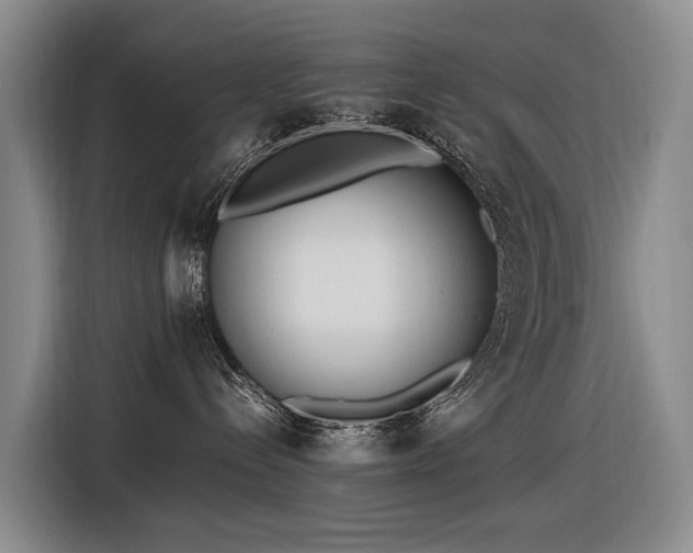X0000116600288200912111120