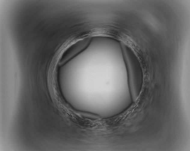 X0000116600289200912111119