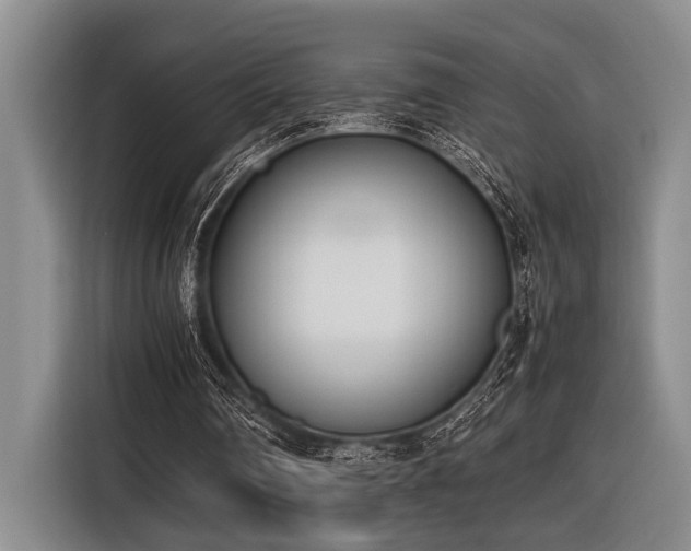 X0000116600290200912111119