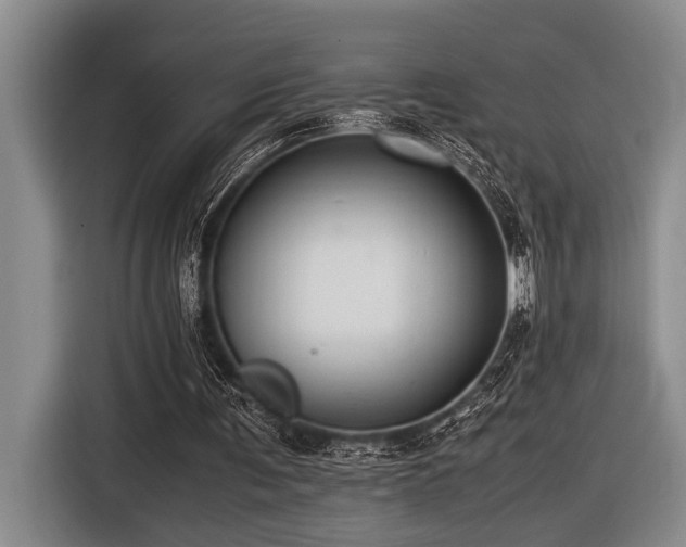 X0000116600291200912111119