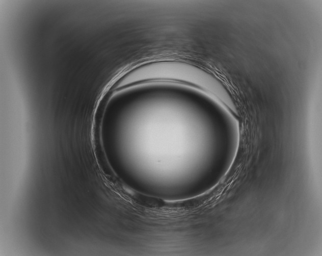 X0000116600292200912111119