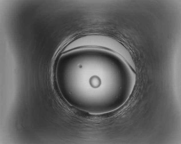 X0000116600293200912111119