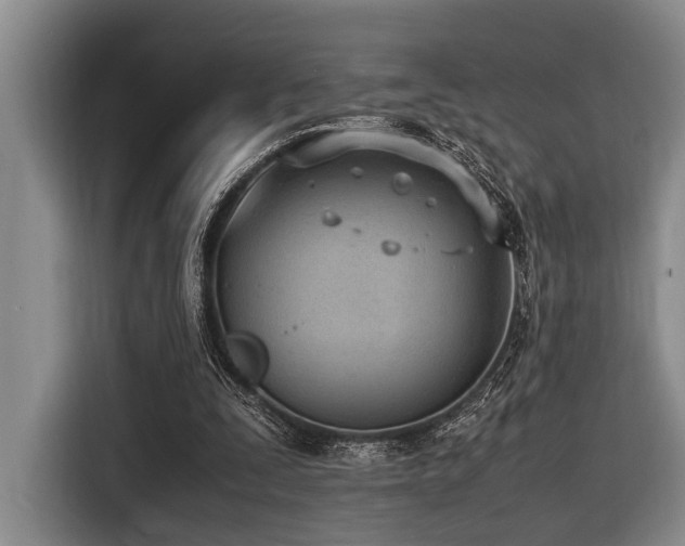 X0000116600295200912111119