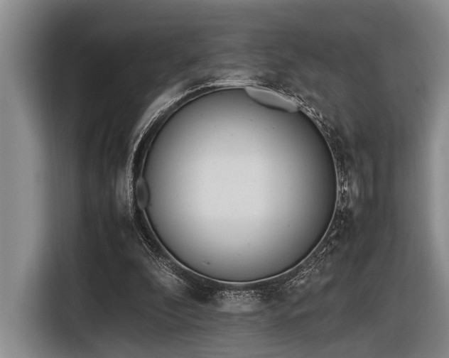 X0000116600296200912111119