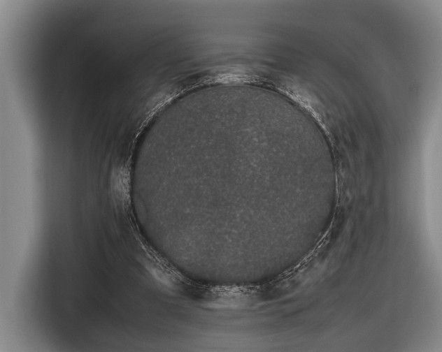 X0000116600297200912111119