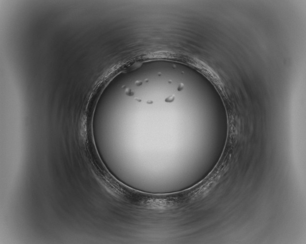 X0000116600298200912111119